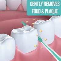 Dr. Emma Dental Picks, 100 pieces/pack, mint, gentle and effective teeth cleaning, 2 packs (200 pieces)