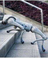 Unitree Go2 Go2 Air Roboterhund, Vierbeiner, Robotik...