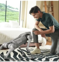 Unitree Go2 Go2 Air Robot Dog, Quadruped, Robotics for Adults, Embodied AI, Battery-Free