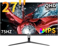 27 Zoll QHD Monitor, 2560x1440p, IPS, 75Hz, HDMI/DP,...