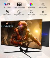 27 Zoll QHD Monitor, 2560x1440p, IPS, 75Hz, HDMI/DP,...