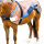 BEMER horse blanket therapy blanket, without leg wraps/charger, promotes regeneration & well-being, for equine therapy