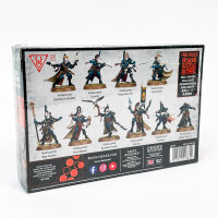 Warhammer 40.000, 102-93, Tabletop-Set, Aeldari Corsair Voidscarred, 10 Miniaturen, vielseitig baubar