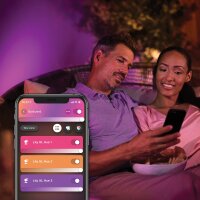Philips Hue Lily Gartenstrahler Erweiterung, smarter LED-Außenstrahler, benötigt Hue Bridge & Base Kit, kompatibel mit Alexa, Google Assistant, Apple Home