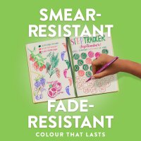 Paper Mate S0190973 Felt-tip pens – 12-pack Black, medium 0.7 mm tip