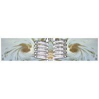 Osmodyn Doppelwirbel-Dynamisierer aus Borosilikatglas mit Elixir-Effekt