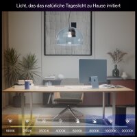 Philips Hue Smart A67 LED-Lampe, Weiß- & Farbambiente, E27, 11,8W, 1600 lm, 1000–20000K Vollspektrum, dimmbar, Alexa/Google/HomeKit, 1er