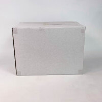 Sterwins DG-24L pressure sprayer, mobile water tank, 24 liters, 8 bar, portable, for garden irrigation and cleaning