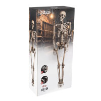 Boland 74515 Skelett, 160 cm, Halloween-Deko, beweglich, realistische Knochenstruktur, zum Aufhängen
