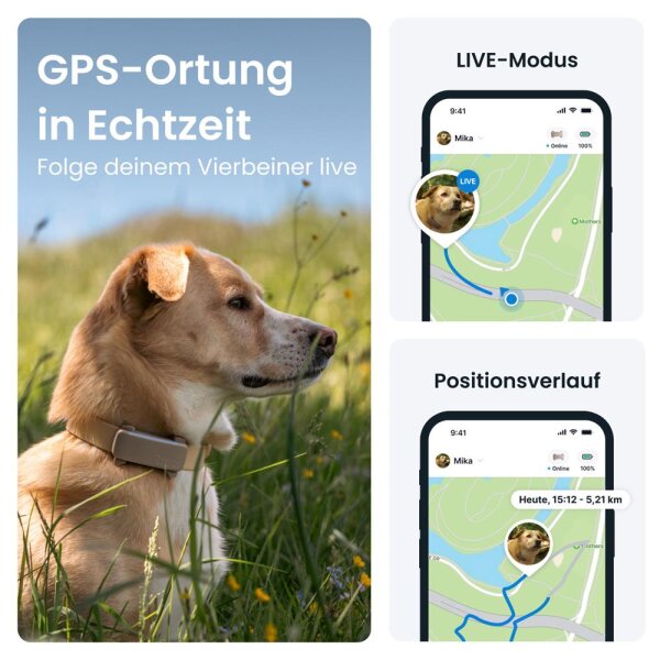 Tractive DOG 6 GPS Tracker für Hunde, Gesundheitsüberwachung, Echtzeit-Tracking, wasserdicht, braun