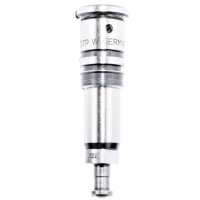 DTP Pumpenelement 2418455022 – Ersatzteil für...