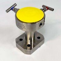 WIKA IVM2-48813567 Monoflansch, 1/2" 300/600 RF,...