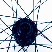 Coboc Vorderrad 650b TA, 60cm Durchmesser, matt, mit Felgenband, für E-Bikes und Urban Bikes, Steckachse, robustes Design, zuverlässige Performance, ideal für moderne Fahrräder.