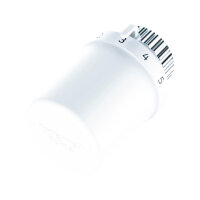 Honeywell T3019 Resideo Thermostatregler Thera-6,...