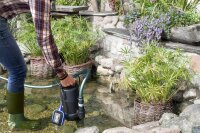 ARUP 750PT submersible pump, 750W, clear & dirty...