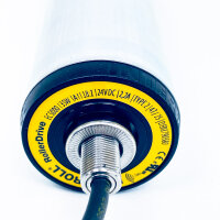 Interroll RollerDrive EC5000, motor roller, drive unit for conveyor technology, energy-efficient, low-maintenance, quiet, flexibly integrable, suitable for automated material flow systems, various diameters and lengths available