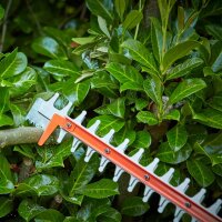 Black & Decker BCHTS3620L1-GB Motorheckenschere 55 cm, Doppelklinge, kabellos, leicht 3,2 kg, ergonomischer Griff, ideal für präzisen Heckenschnitt und komfortable Handhabung