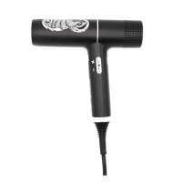 Victorivs Falcon 1700 Haartrockner, schwarz,...