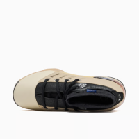 Air Jordan x Infinite Archives 17 Retro Low SP Unisex Sneakers, EUR 42, Beach/Metallic Silver-Black, Limited Edition