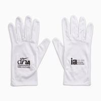 Air Jordan x Infinite Archives 17 Retro Low SP Unisex Sneakers, EUR 42, Beach/Metallic Silver-Black, Limited Edition