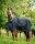 Horseware Amigo 900D Turnout Rug, 114 cm, Waterproof, Breathable, Durable Outdoor Rug for Horses