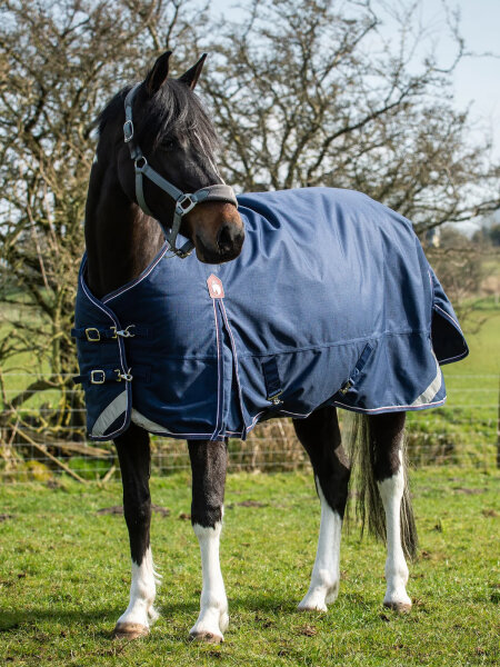 Epic Essential Turnout Rug 221cm, 40g Fill, Regular Fit, Breathable, Lightweight, Ideal for Transitional Seasons