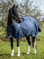 Epic Essential Turnout Rug 221cm, 40g Fill, Regular Fit,...