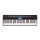 Roland GO:Piano GO-61P 61-key keyboard with Ivory Touch surface and Bluetooth for learning apps