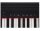 Roland GO:Piano GO-61P 61-key keyboard with Ivory Touch surface and Bluetooth for learning apps