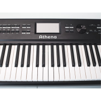 Athena NK5.5-301 Digital Piano, 88 keys, hammer action, Bluetooth, USB, headphone jack, flagship model