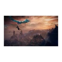 Bandai Namco Elden Ring Nightreign Collectors Edition PS5 game, ages 16+, action role-playing game