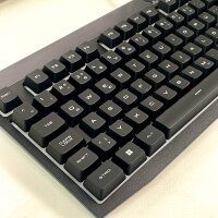 Predator KBCY21 Gaming Tastatur QWERTZ kabelgebunden schwarz mit LED Beleuchtung ohne Maus