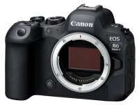 Canon EOS R6 Mark II spiegellose Systemkamera Gehäuse, 2x 256GB SD, 1 Akku, 7,5 cm Touchscreen, WLAN