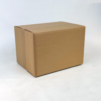 Canon EOS R6 Mark II spiegellose Systemkamera Gehäuse, 2x 256GB SD, 1 Akku, 7,5 cm Touchscreen, WLAN