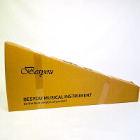 Akustische Reisegitarre Starter-Set mit Stimmgerät, Kapodaster, Saiten, Gurt, Plektren, Schlagbrett und Gigbag für Anfänger, Kinder, Teenager, Studenten