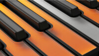 Roli Seaboard Block M, innovatives MIDI-Controller Keyboard mit druckempfindlicher Oberfläche, kompakt und vielseitig