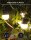 Govee Outdoor LED Lichterkette 30m, dimmbar, RGBICW, 16 Mio Farben, 47 Modi, 100lm/LED, 25000h, IP65, Alexa & Google kompatibel