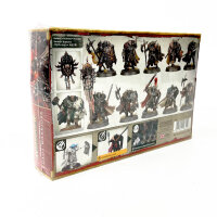 Warhammer Age of Sigmar Chaoskrieger Miniatur, detailreich, Sammelfigur, Tabletop-Spielzubehör