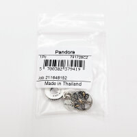 PANDORA Charm-Anhänger Familien Stammbaum aus Silber und Gold, eleganter Schmuck für besondere Anlässe