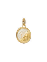 Pandora charm pendant locket Pegasus in gold and white,...