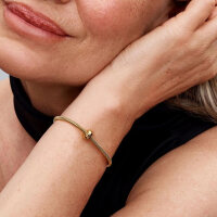 Pandora Clip-Charm rund aus Gold, eleganter Schmuckanhänger für Armbänder