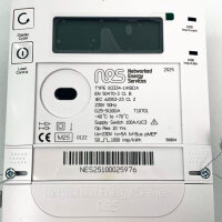 Networked Energy Services 83334-1IKBDA digitaler Stromzähler mit Netzwerkfunktion und präziser Energieerfassung