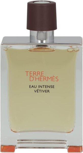 Hermès Terre dHermès Eau de Parfum 100 ml Mens fragrance, woody-spicy, long-lasting