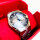 DIESEL D-SRUPTOR DZ2224 Herrenuhr, Quarzuhr, Edelstahlarmband, analoges Zifferblatt