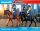 Playmobil City Action 71877 Polizeireiterstaffel mit 18 Teilen, für Kinder 4-10 Jahre