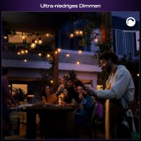Philips Hue Festavia Globe 7m LED string lights, 10 globes, White & Colour Ambiance, dimmable, Zigbee, Wi-Fi, Matter Smart Control