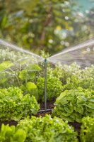 Gardena 13326 Micro-Drip-System Verlängerungsrohr 20 cm 13 mm für Sprühdüsen automatische Bewässerung Easy Connection 5 Stück