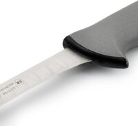 Arcos Colour Pro Fischmesser 300 mm Nitrum Edelstahl,...