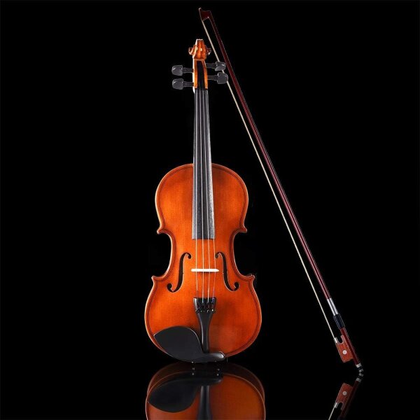 Aileen 3/4 Violin Set for Beginners with Bow and Blue Case, Violin in Case, Ideal for Beginners