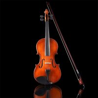 Aileen 3/4 Violin Set for Beginners with Bow and Blue Case, Violin in Case, Ideal for Beginners